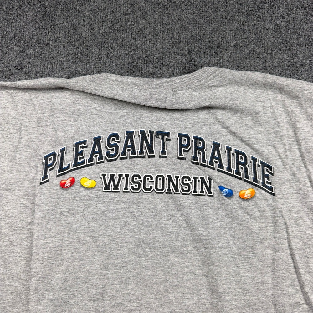 Vintage Jelly Belly University Shirt Men L Fruit of the Loom Grey Wisconsin - Picture 6 of 12